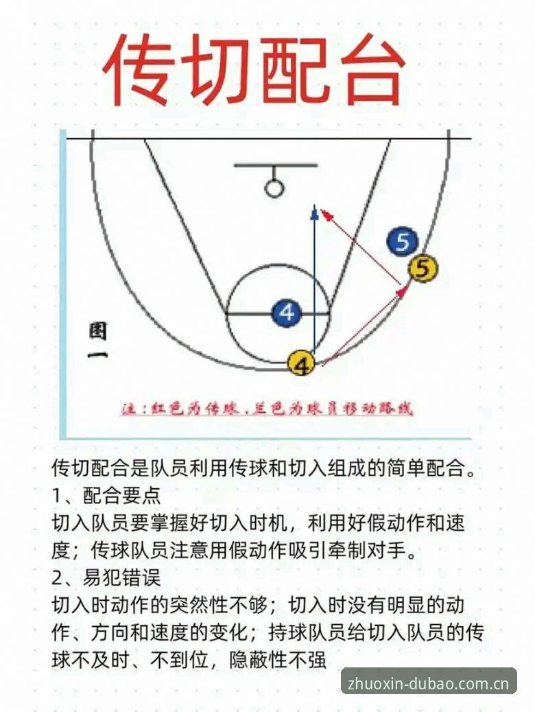 多宝体育平台教程：从入门到精通，一个实战派的完整操作指南
